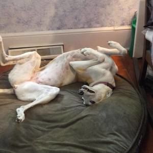 Meet your Posher, Marian